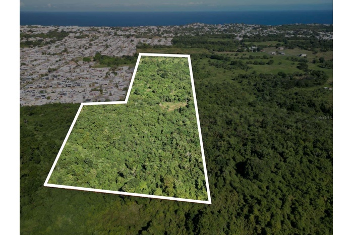 Vacant Land