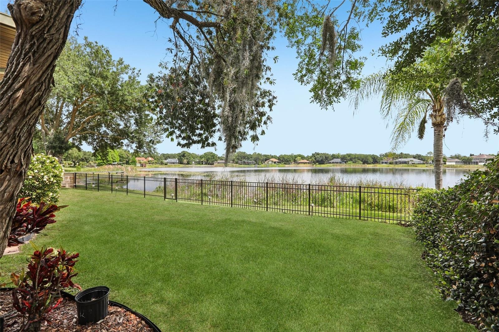 Backyard / Lake Grace