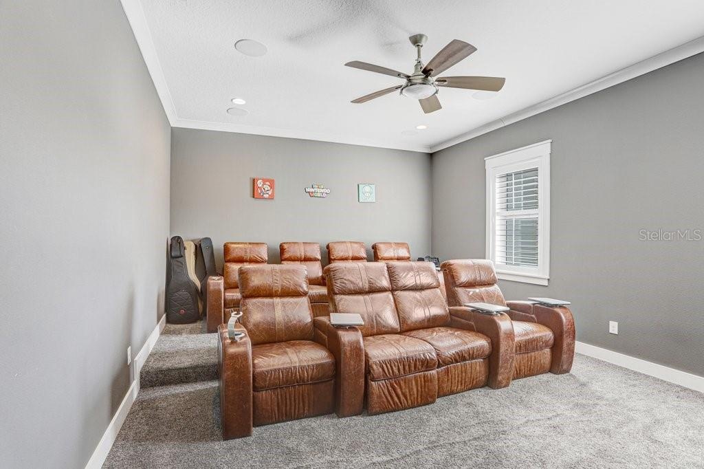 Theater Room