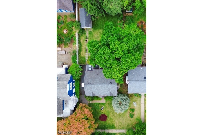 Drone View