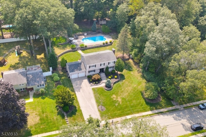 arial view