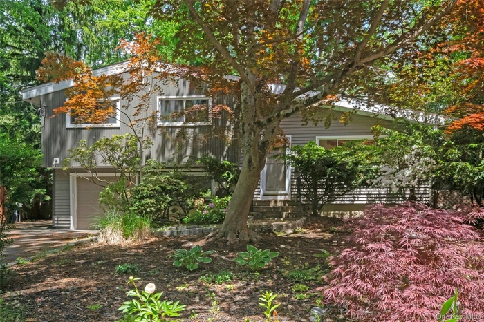 Lush landscaped front yard