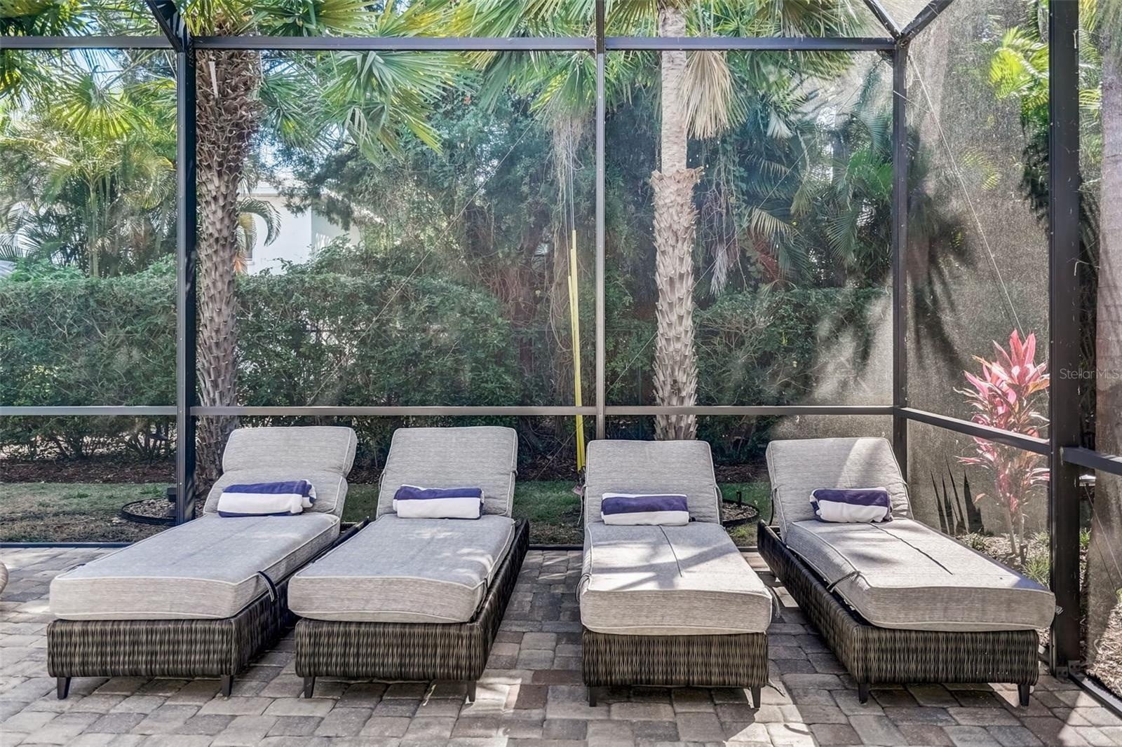 Chaise lounge chairs