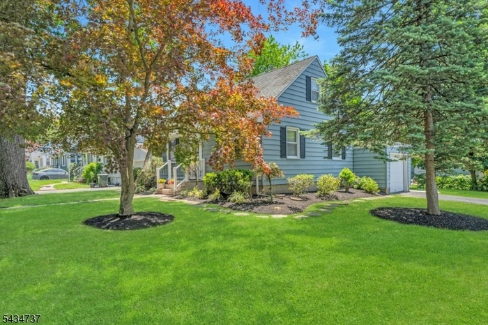 Side Yard