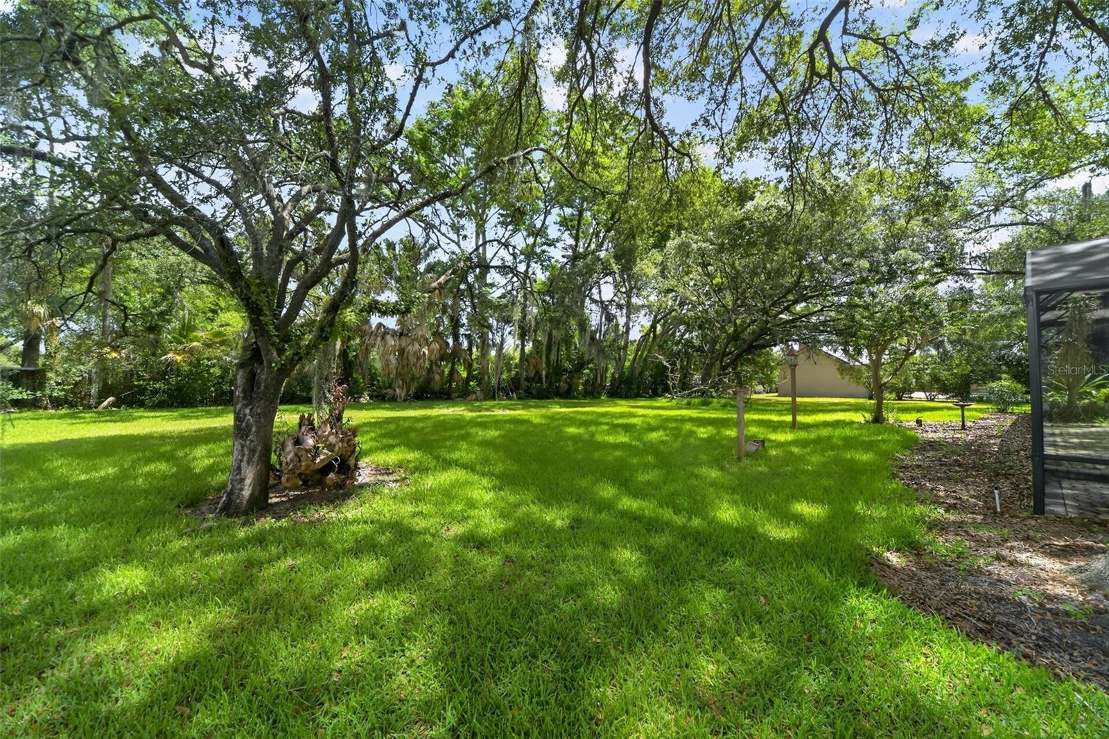 1808 Wingfield Dr