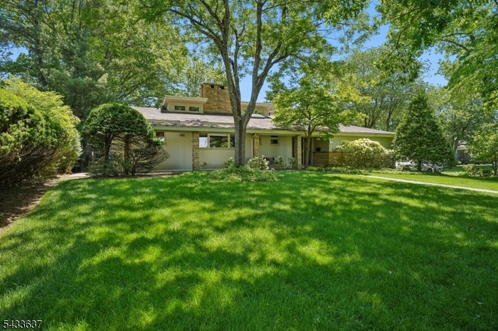 Expansive front yard