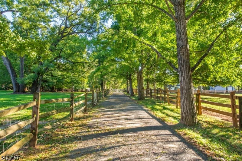 Drive to Stable/Barn