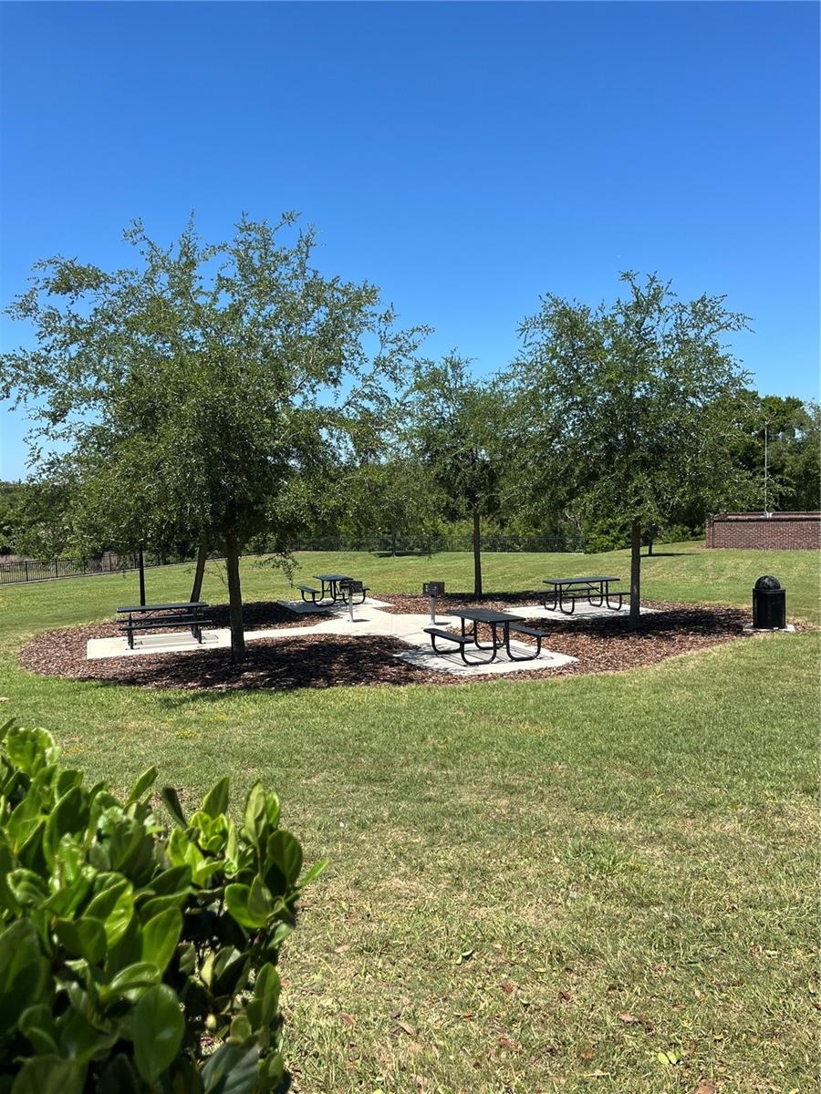 Community Picnic Area