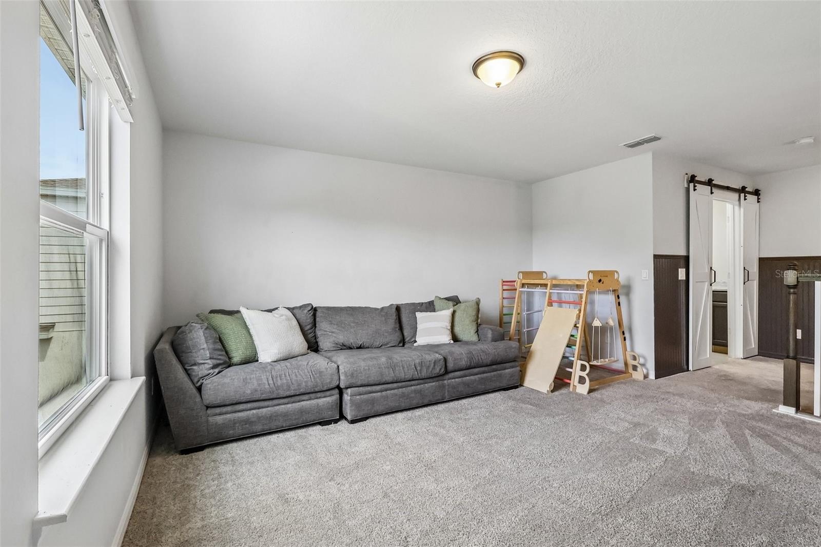 Bonus/Loft Area