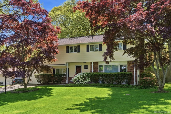 Beautiful Tree Lined Neighborhood