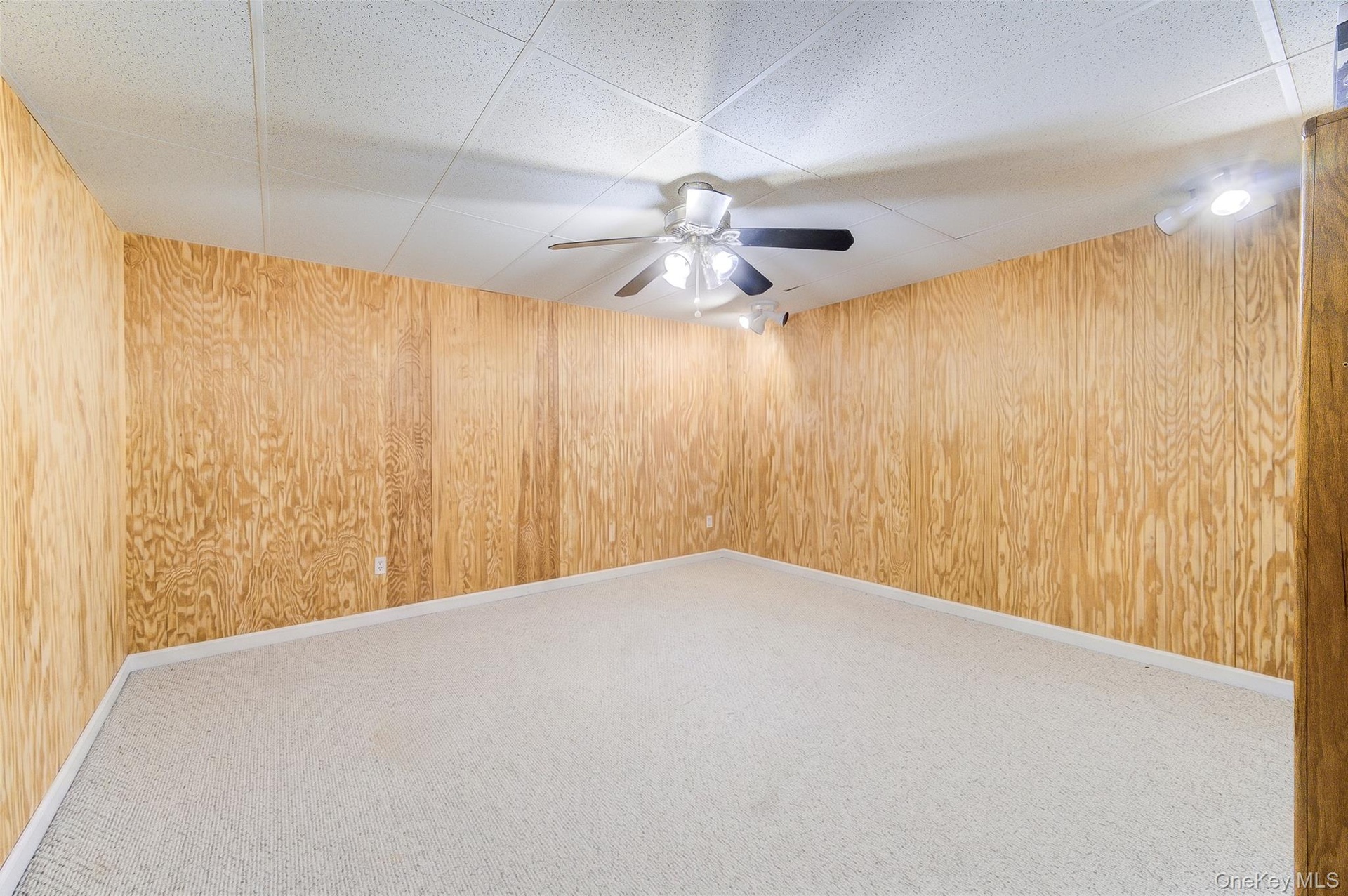 Plenty of room for home office, gym, recreation or storage