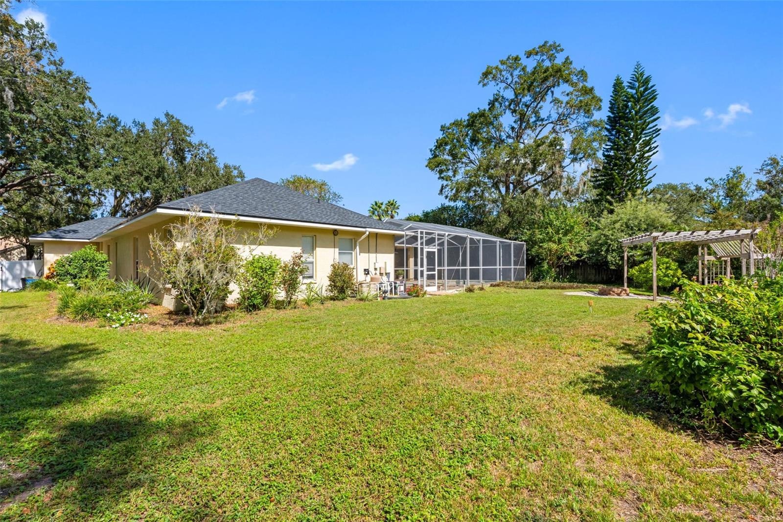 Large Backyard
