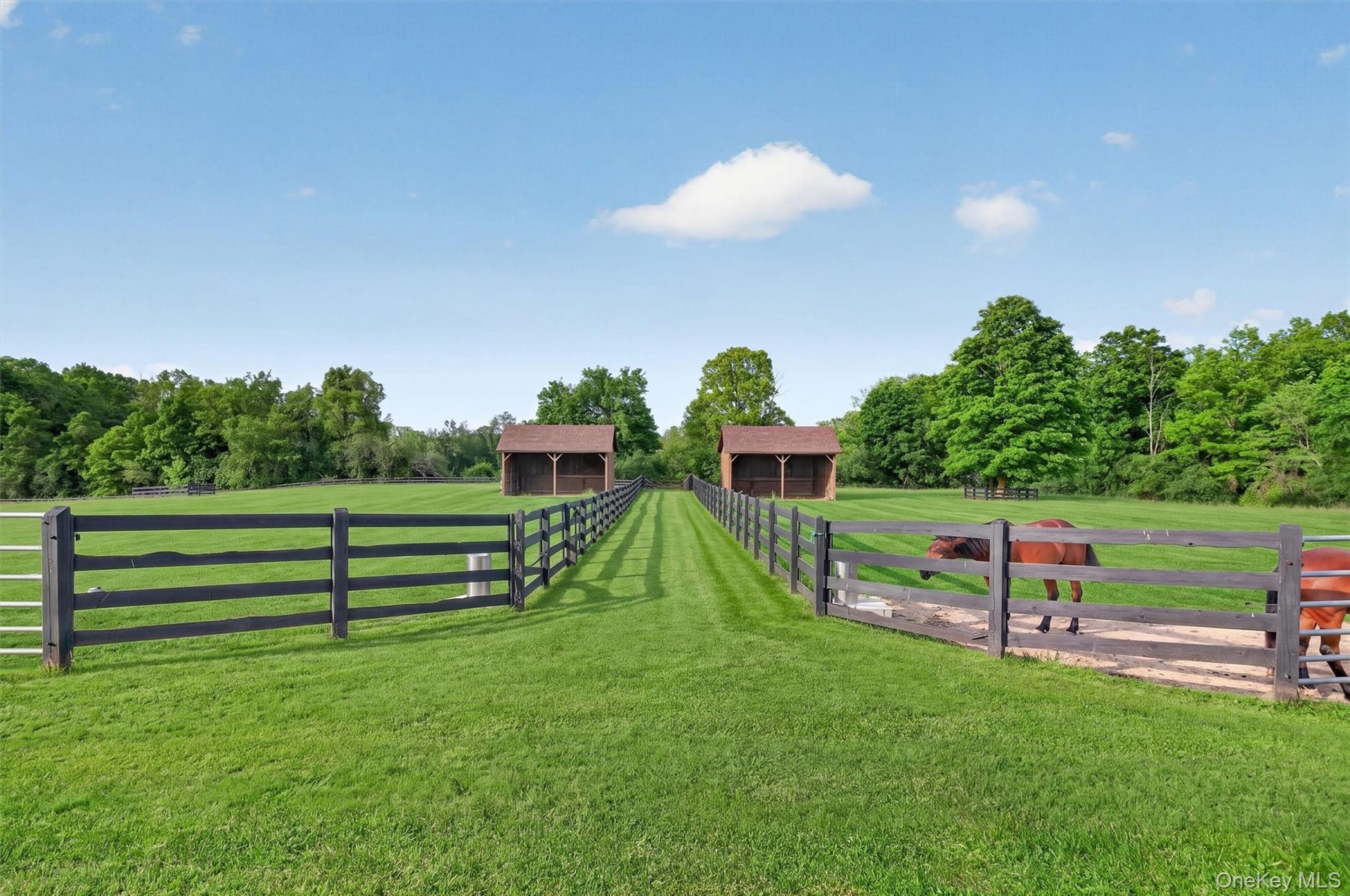 Large grass paddocks with 4 board fencing, deep run-in sheds and automatic waterers provide the best for your horses