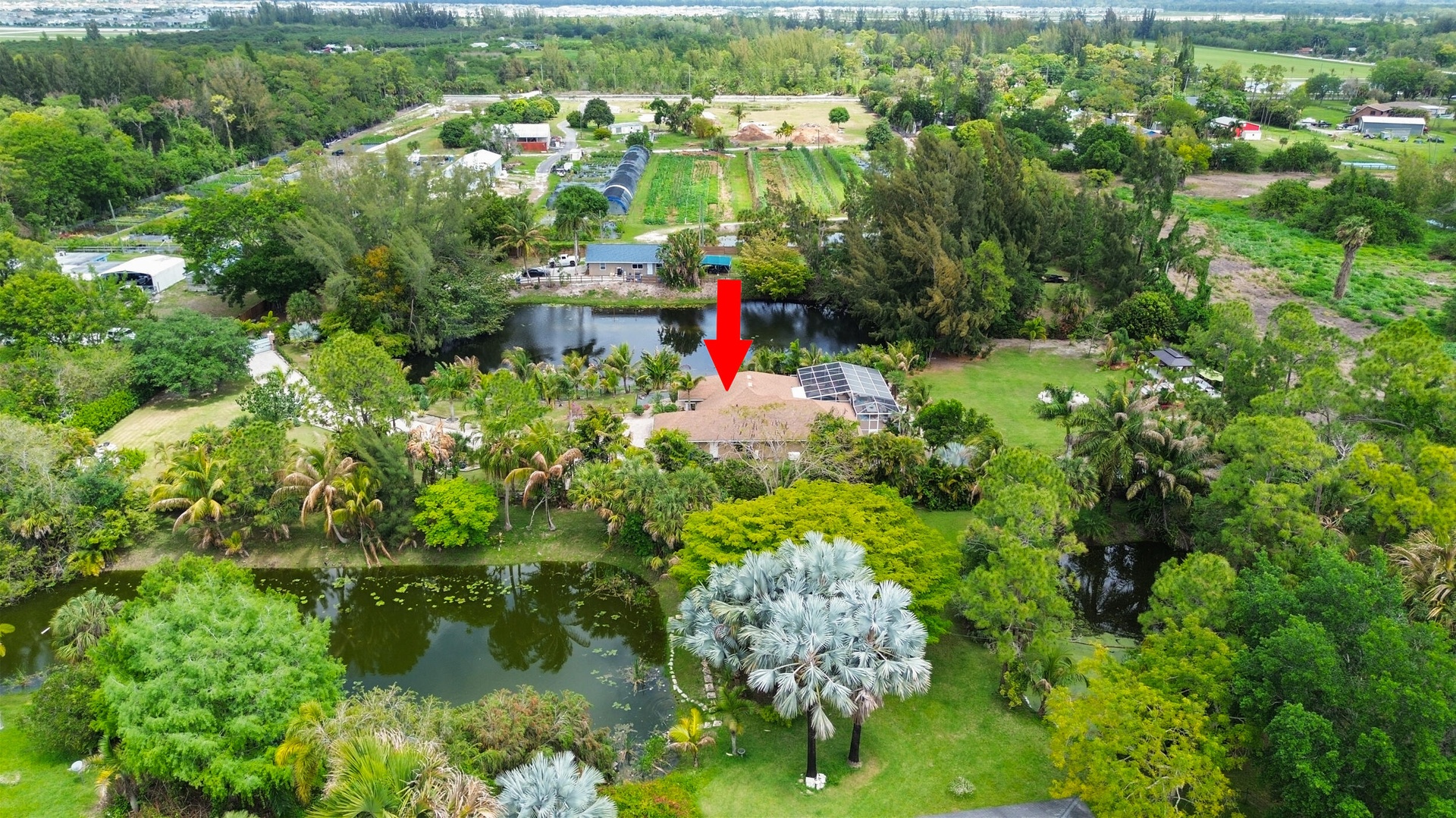 89_dji_0972