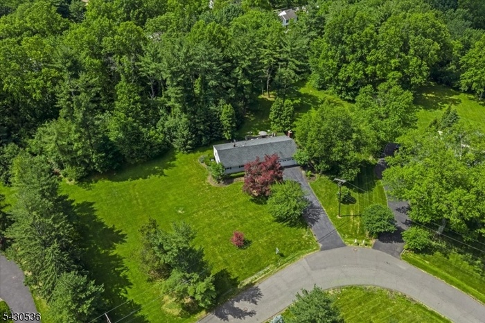 Expansive level lot