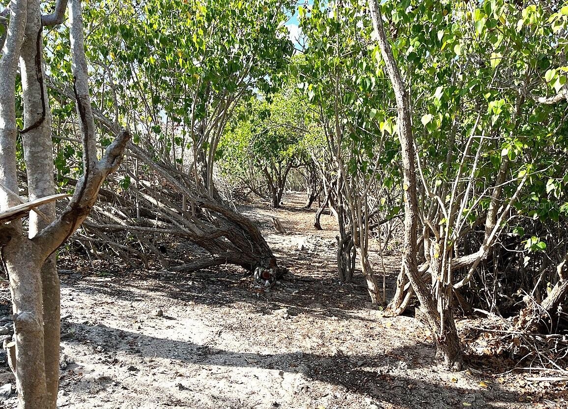 Path between Lagoon and Beachfront