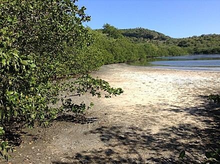 Lagoon