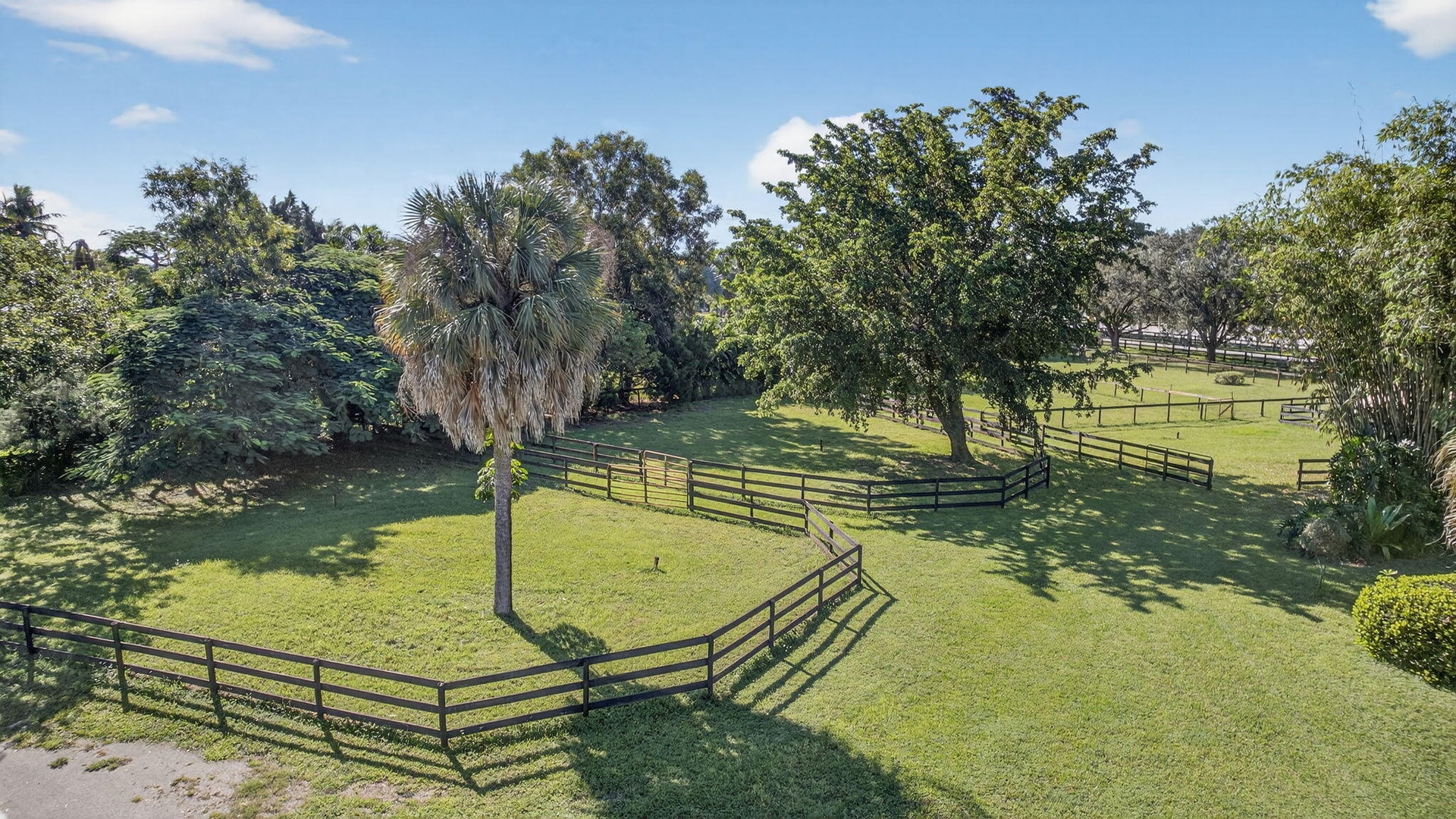 Aerial Paddocks