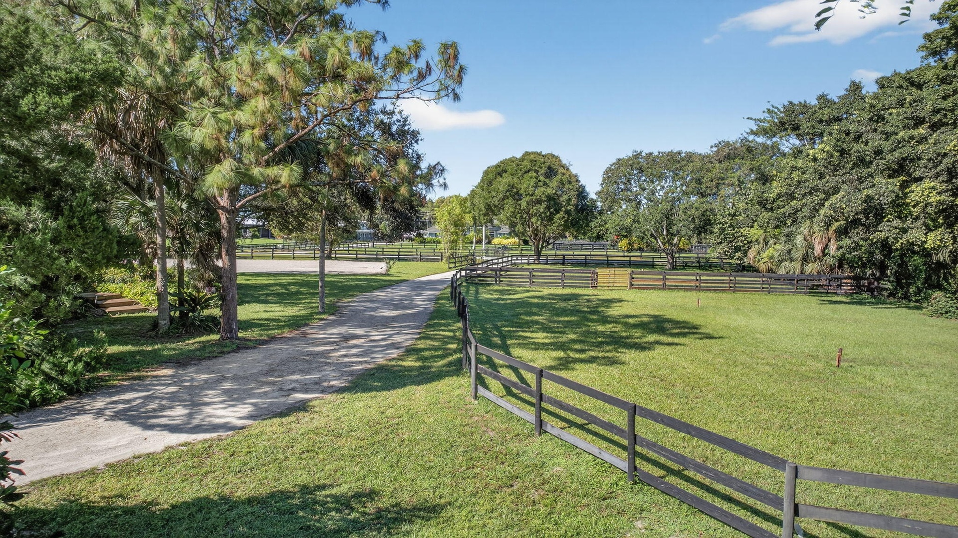 Paddocks Front