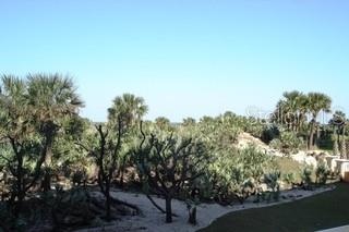 Balcony view of pristine Florida!