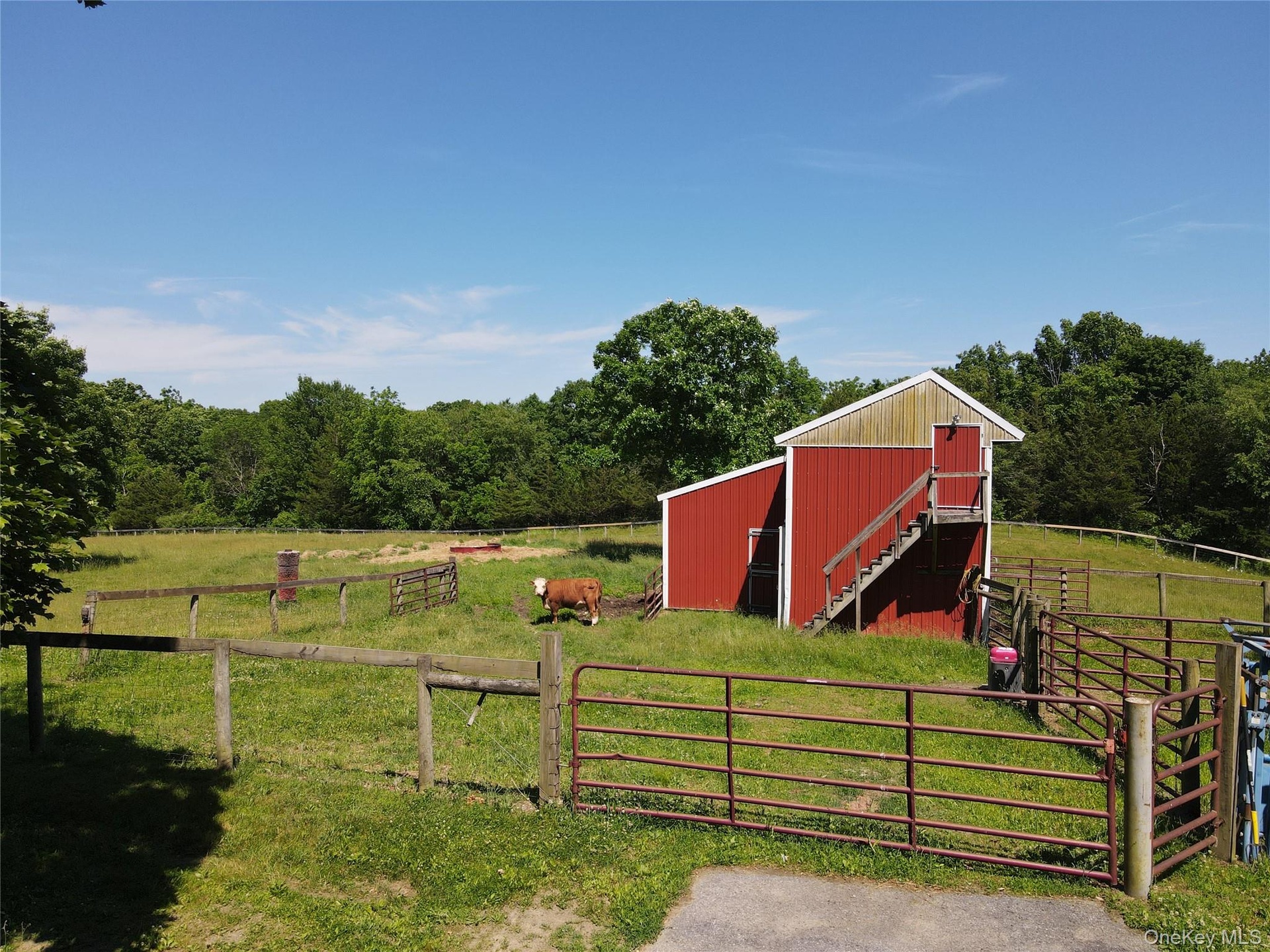 Barn and paddocks