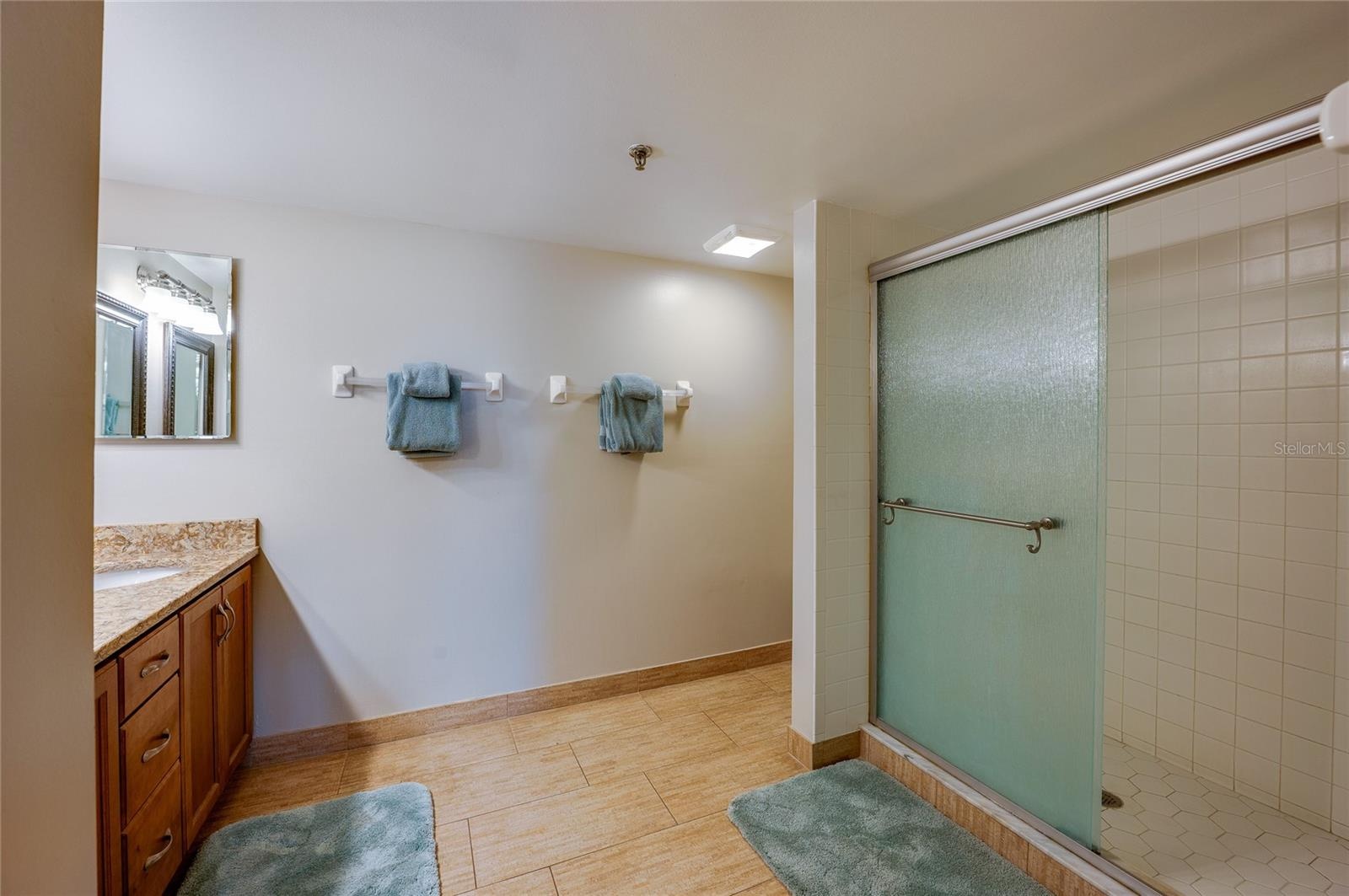 The ensuite bathroom features a large walk-in shower with frosted glass doors, ample space for movement, and dual towel bars for convenience.