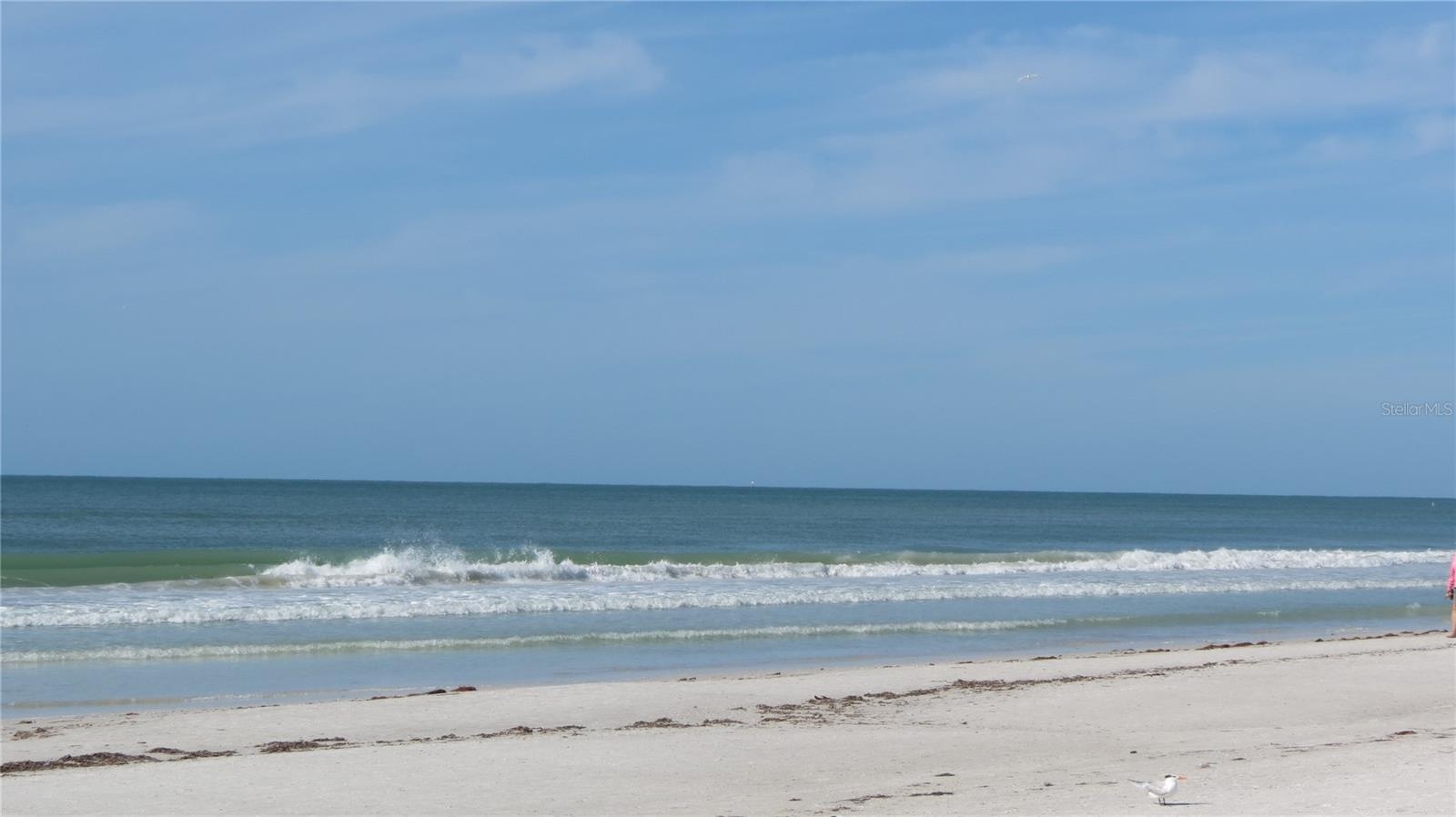 Rated the #1 Best Beach in the world