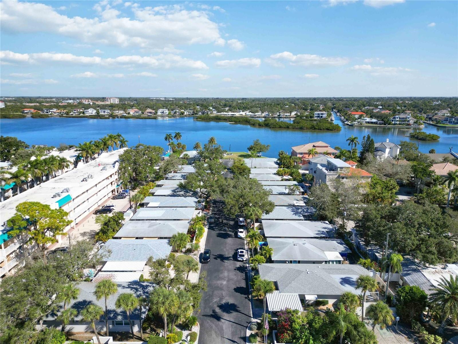 Tree Lined Sreet on the Intracoastal Waterway