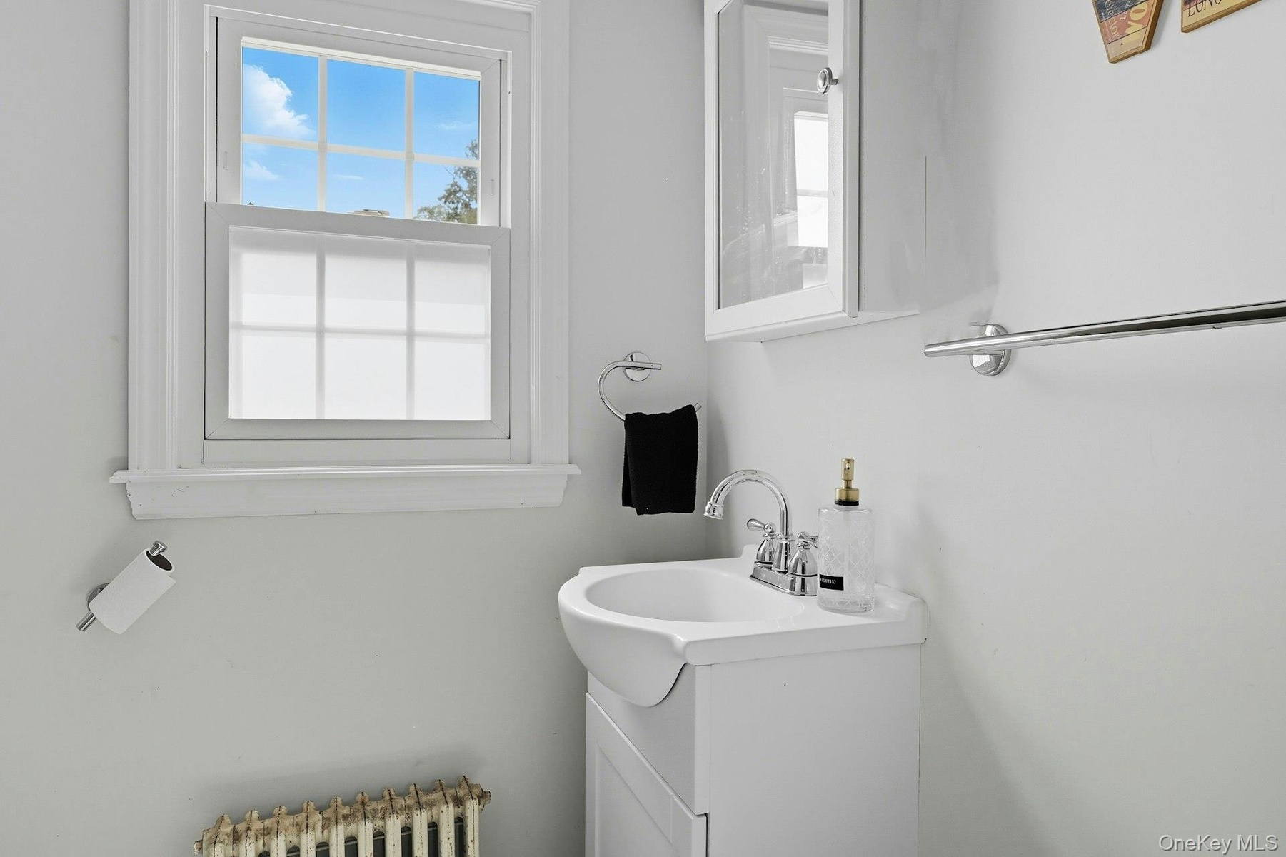 Full  bathroom with shower featuring vanity, plenty of natural light, and radiator
