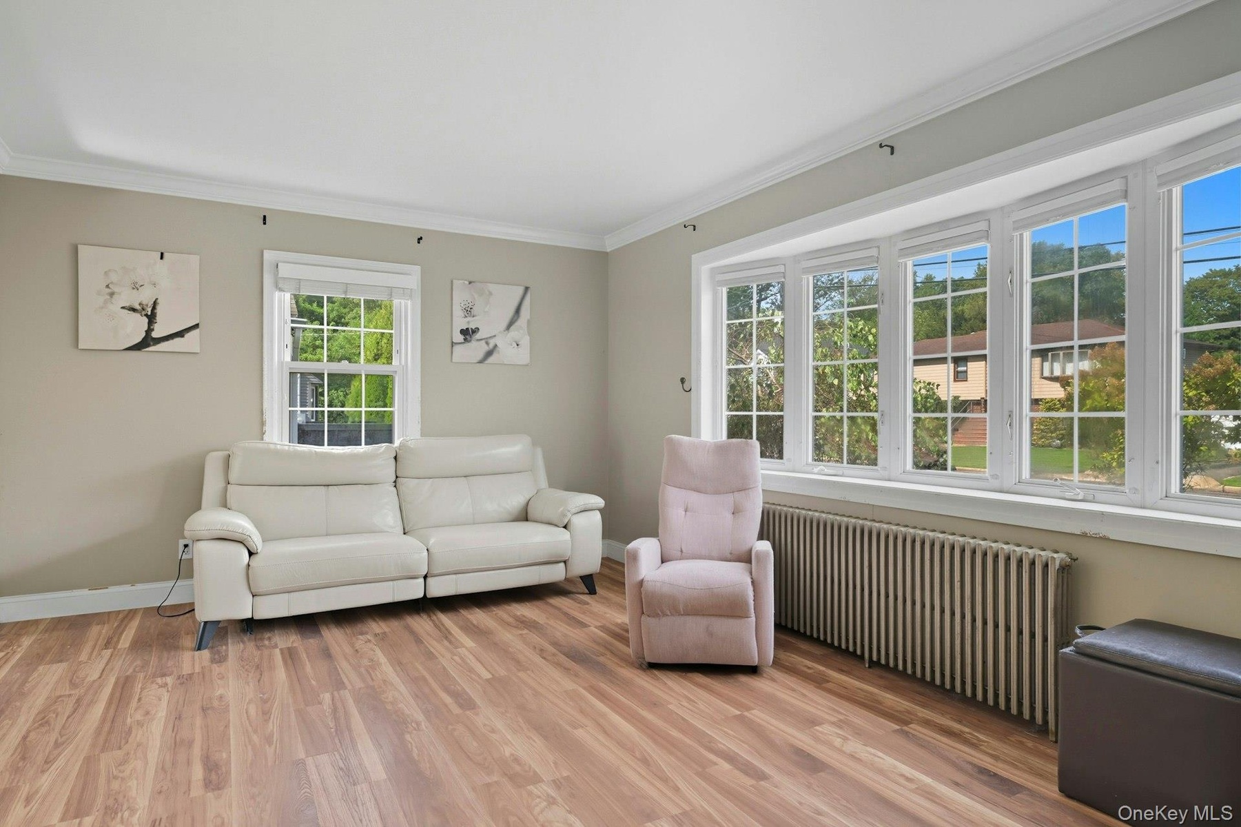 Living room featuring ornamental molding, radiator, and light wood finished floors