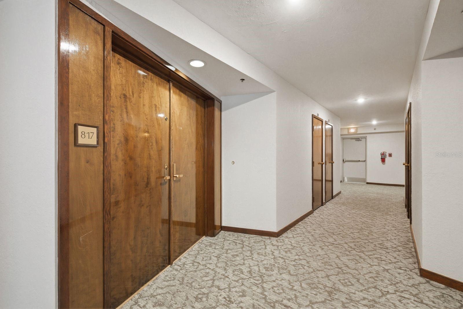 Condo Entry Door