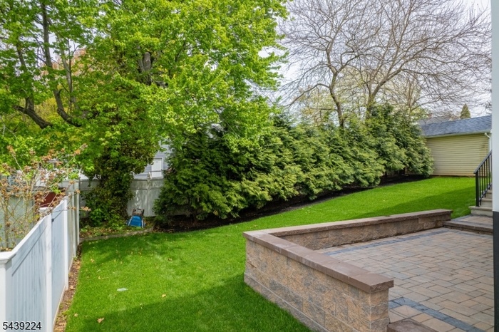 Back yard