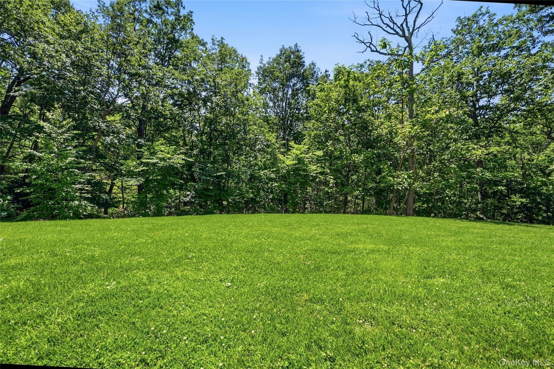 2 Acres Room For A Pool