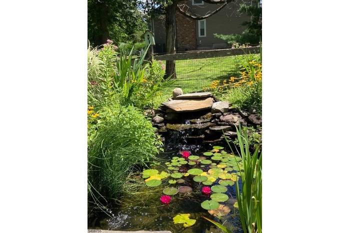 Pond