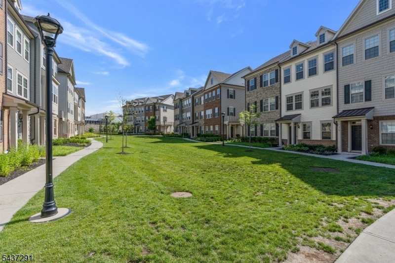 Green Space in Front of Home