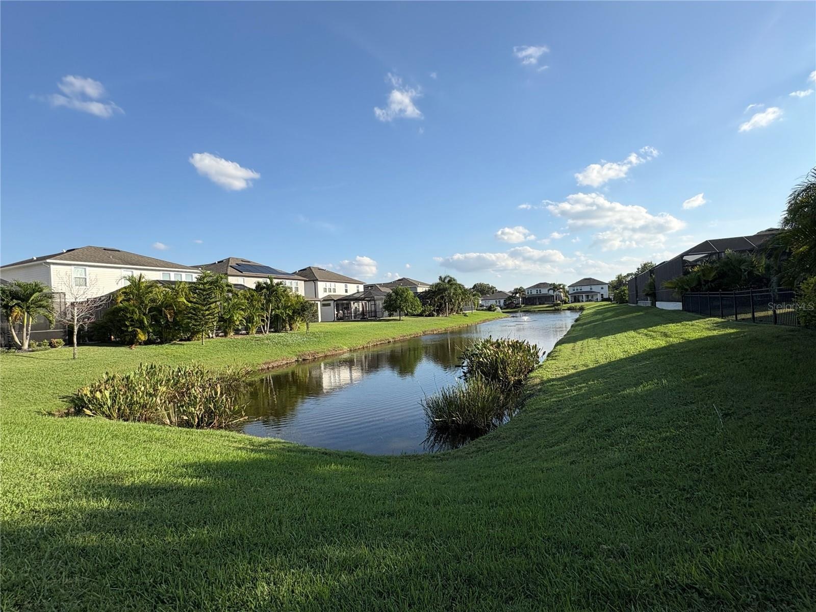 Pond view in the back of the house