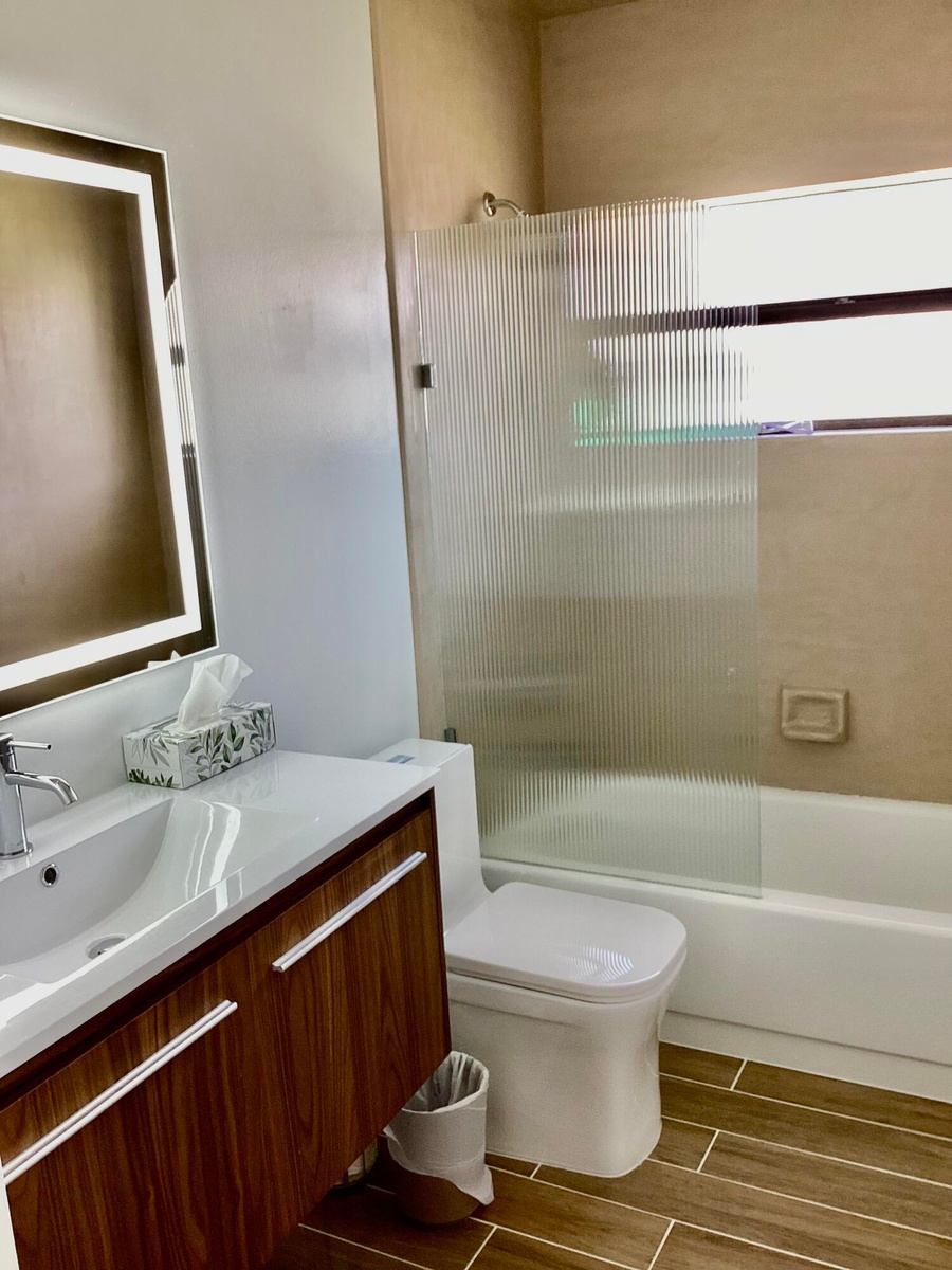 GUEST HALL BATHROOM