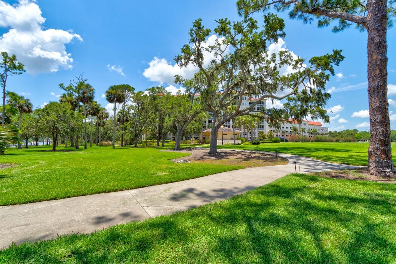 Pathway along Intracoastal