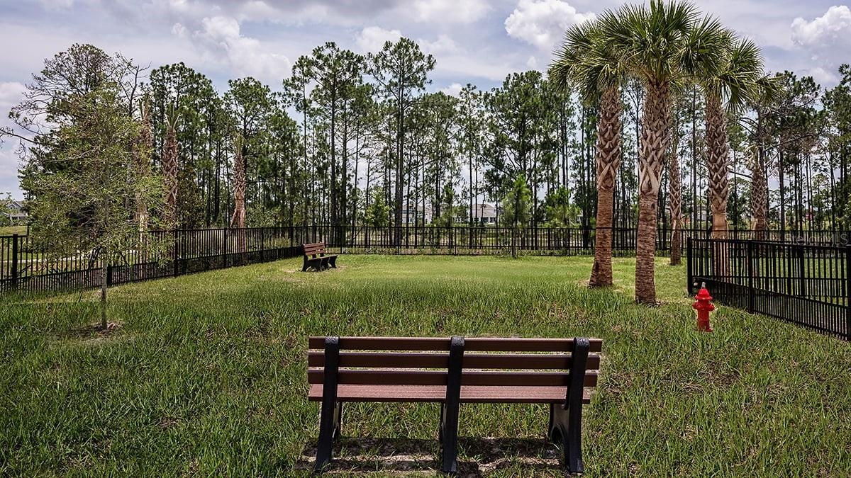 Harvest at Ovation Community Amenities