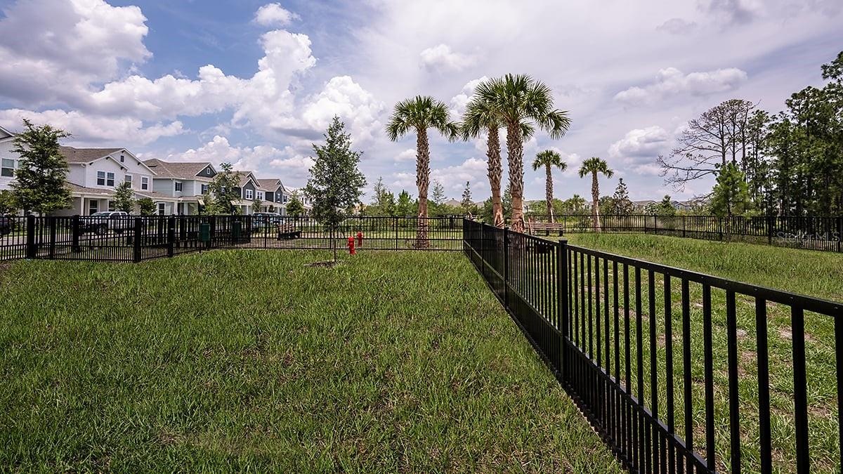 Harvest at Ovation Community Amenities