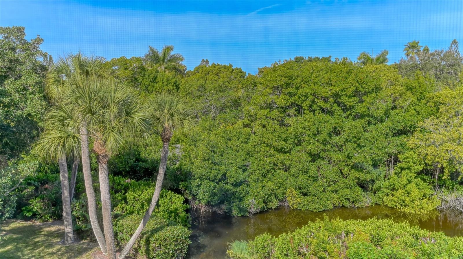 Lush landscaping views from the lanai.