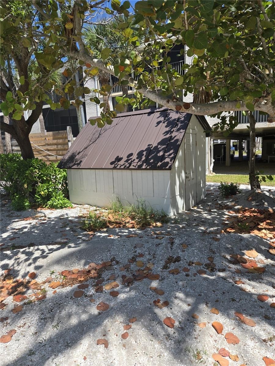 Shed
