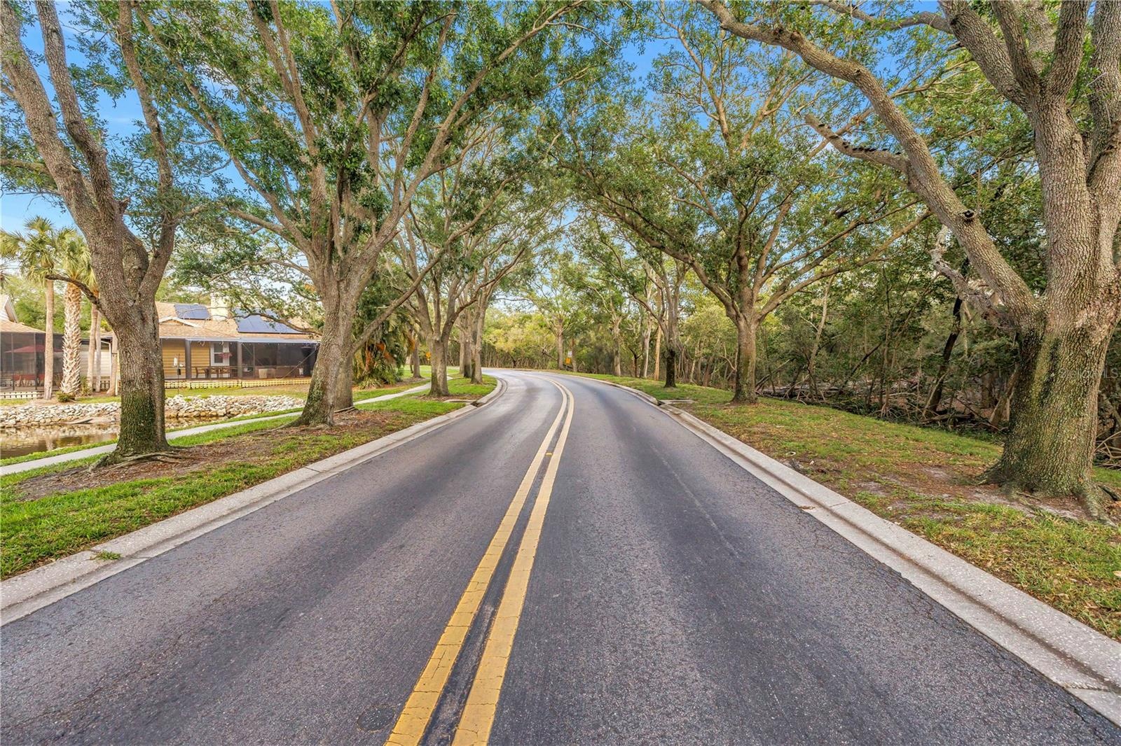 Driving or walking down this shady lane relieves the stress of the day as you enter the cove
