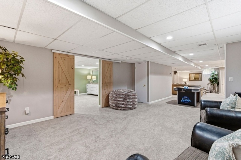 Lower Level Recreation Room