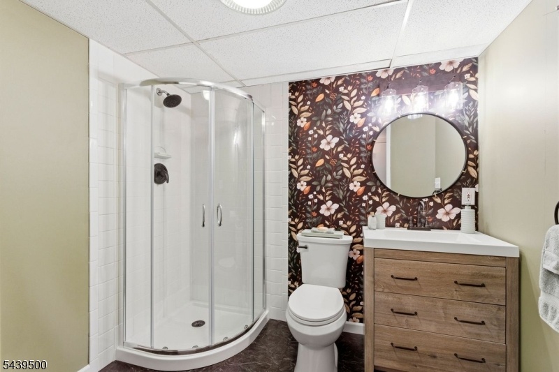 Lower Level Bath