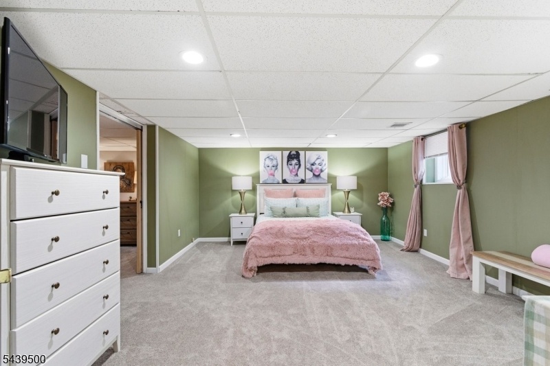 Lower Level Bonus Room