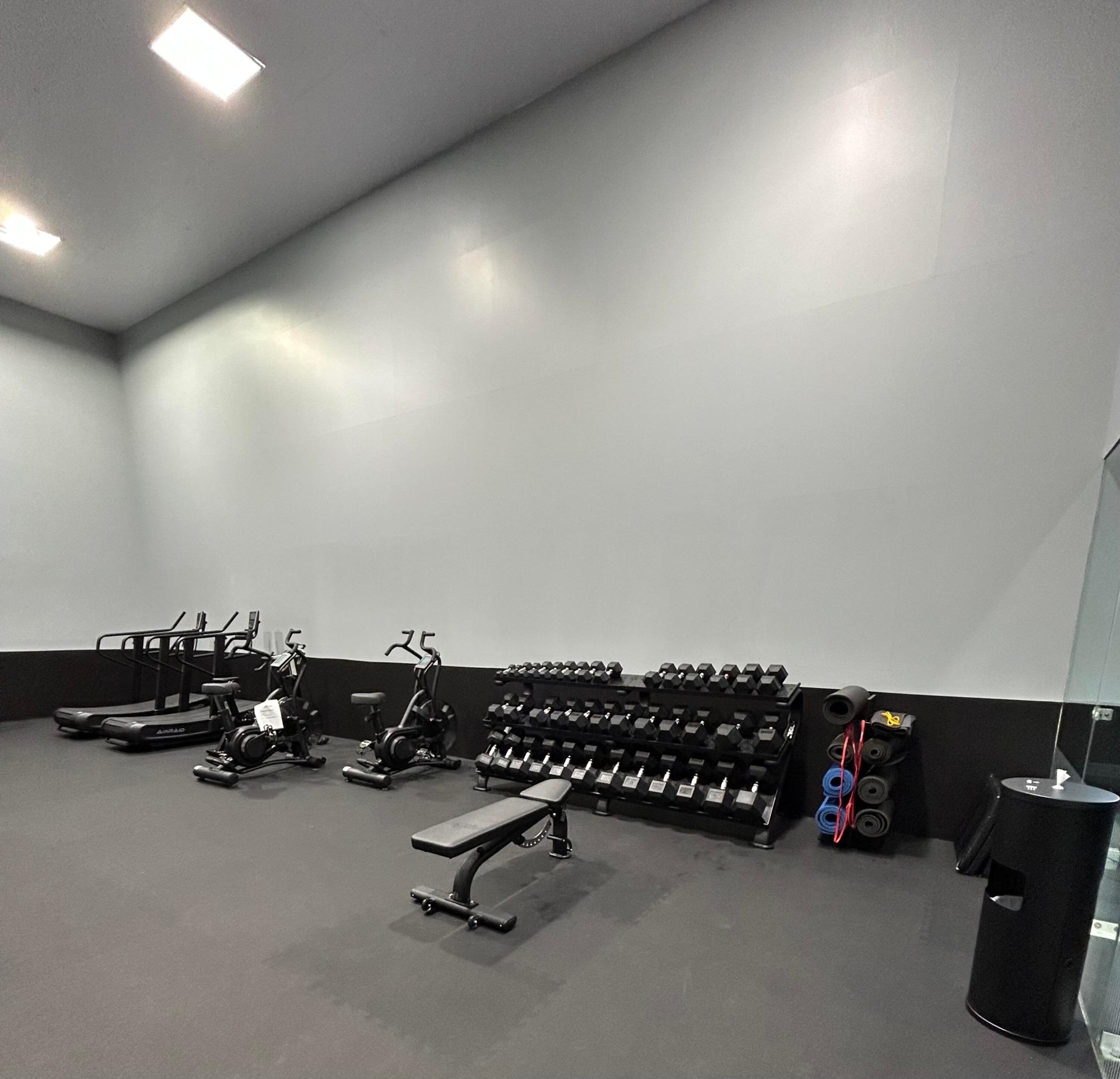 Brand new Weight room