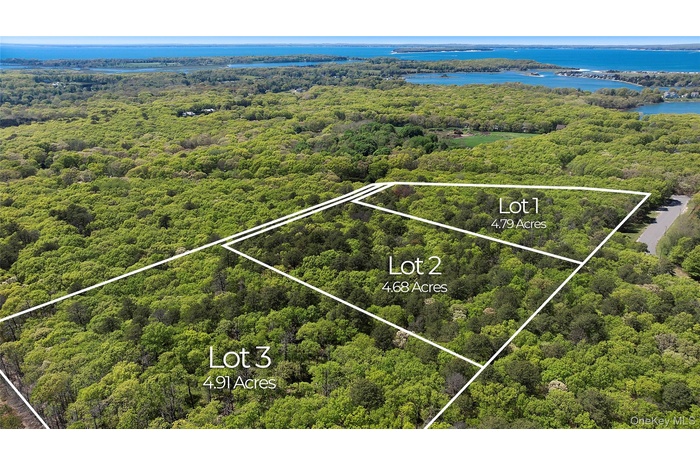 Lot map showing acre division for each lot.