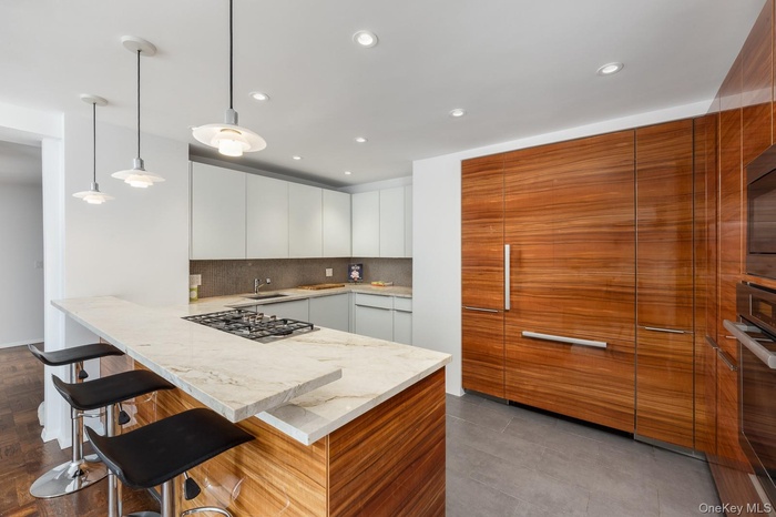 Chef's kitchen