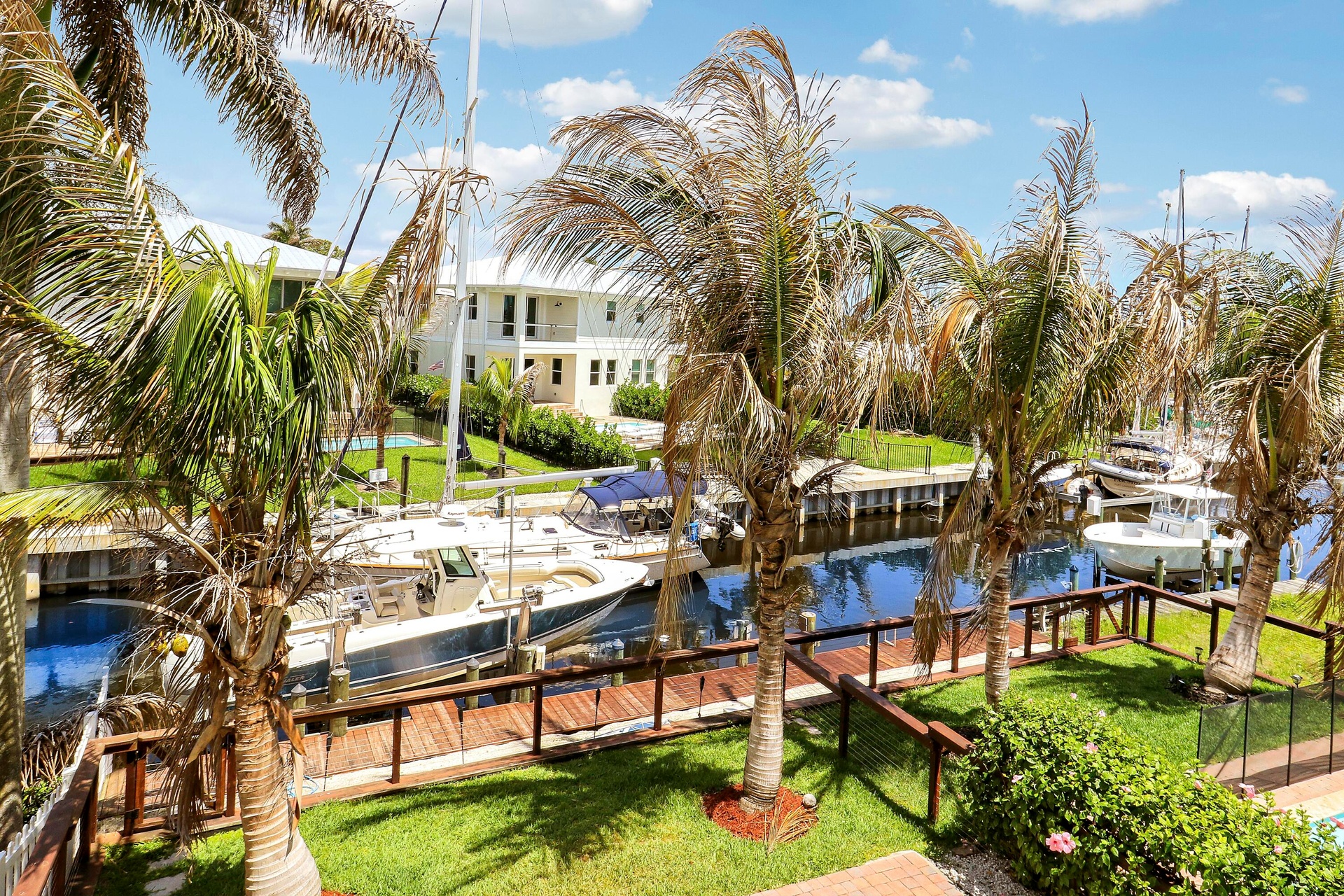 back yard/dock